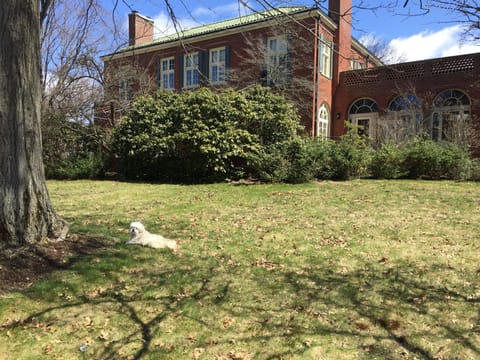 Front yard is massive! 