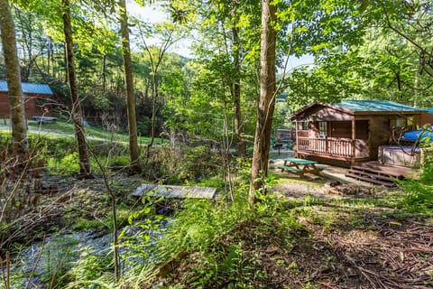 All Three Chelokee Cove Cabins
