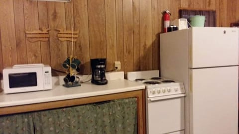 Full size fridge, apartment size stove/oven
