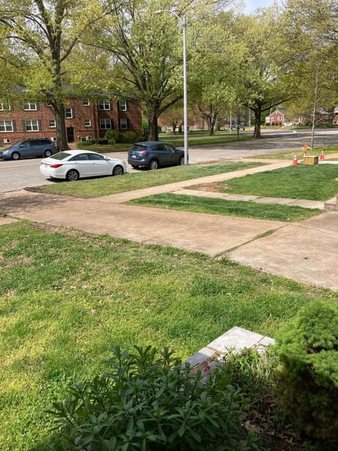 View from front porch - and tree-lined neighborhood for walking.