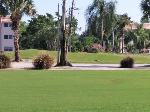 View of the golf course from the condo

