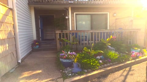 Front garden/front bottom deck 