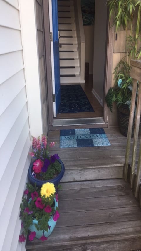 Front door steps leading to the main floor