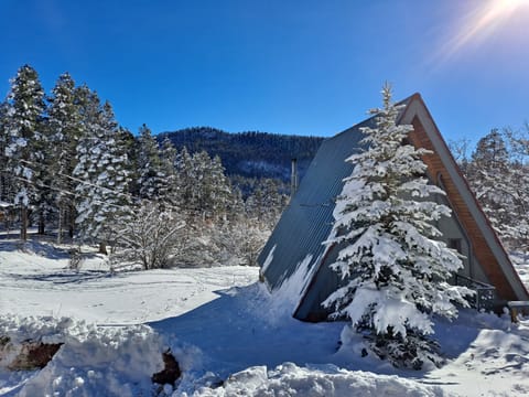 Winter is a beautiful time of year too....