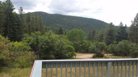 the southerly view off the front deck of the cabin....