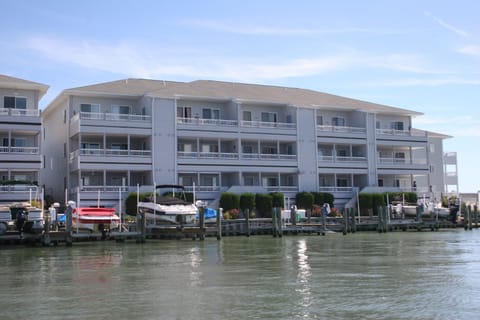View from Bay