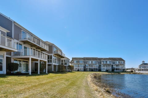 Exterior,Back Yard,