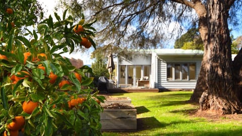 Rear Yard