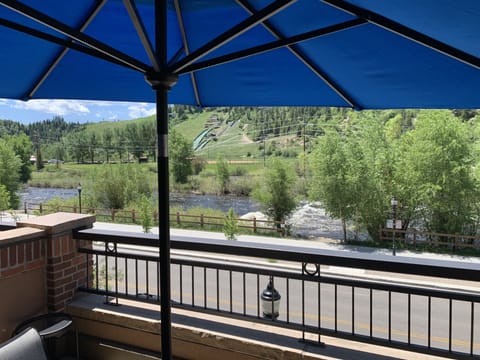 View of Yampa River and Howelsen Hill from Balcony