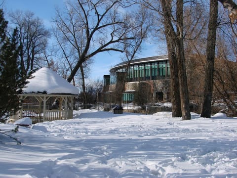 library and park across the street