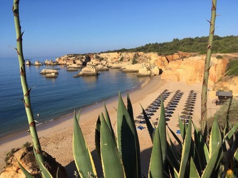 closest beach 5 min walk from  apartment -Praia do Alemao,next to Praia do Vau 