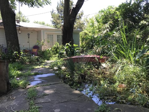 Your private entrance-french doors open to an upper pond, a 14 foot stream.