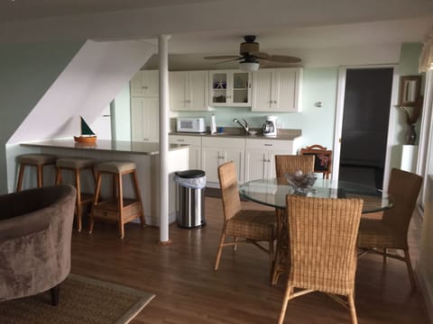 'Summer Kitchen' In Family Room Downstairs