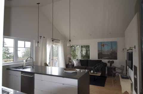 dishwasher and open concept living