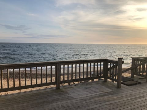 Ocean Front Beach Bungalow!