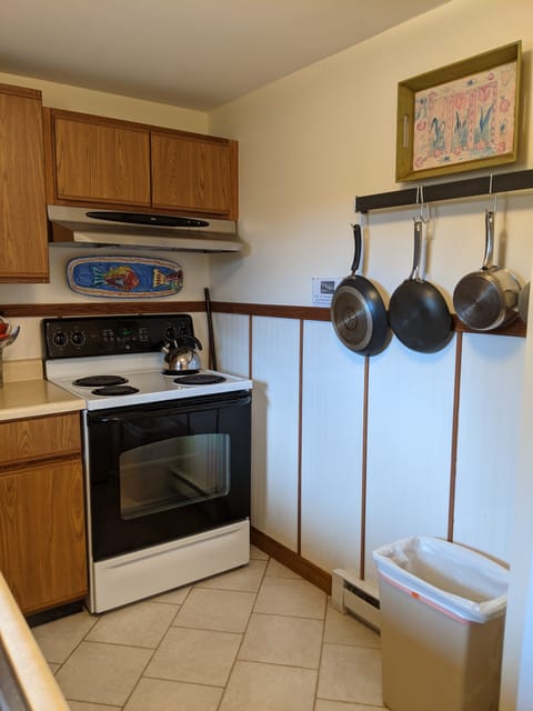 Fully equipped kitchen with electric stove/oven.