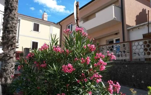 external view