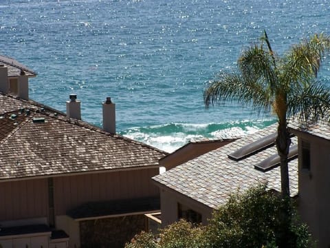 Whitewater View