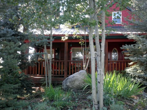 Garden and path to front of house.