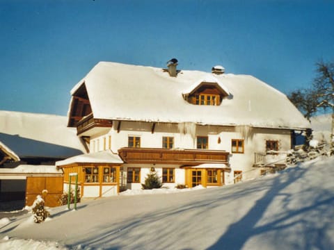 Minabauer - Apartment 1 Farm Stay in Altmünster