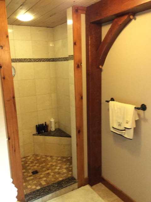 Master bath with large walk-in shower