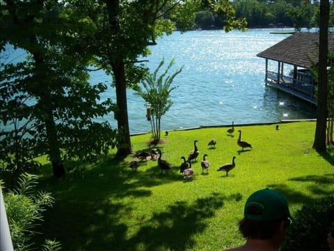 It's a family place!