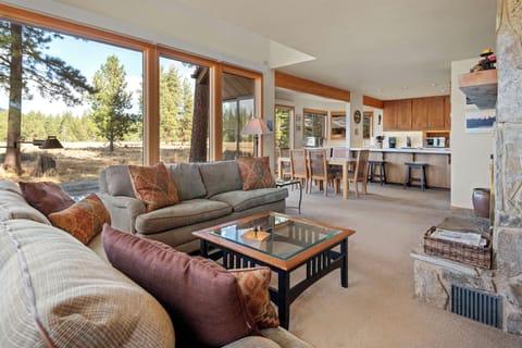Living and Dining area