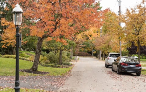 Beautiful safe walking neighborhood