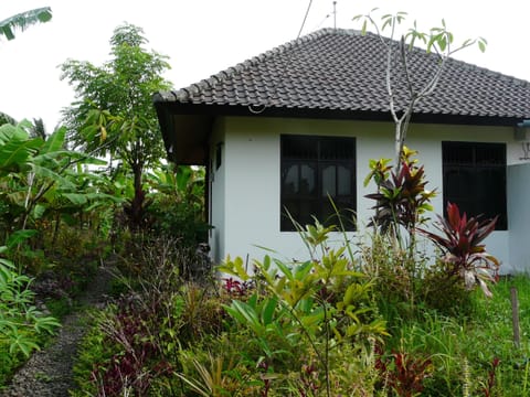 Side of the bungalow from the garden