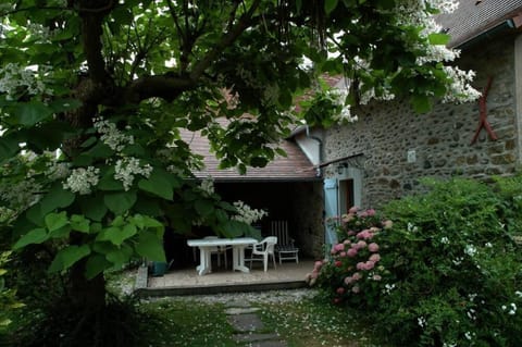 Entrance to the terrace, a shady spot