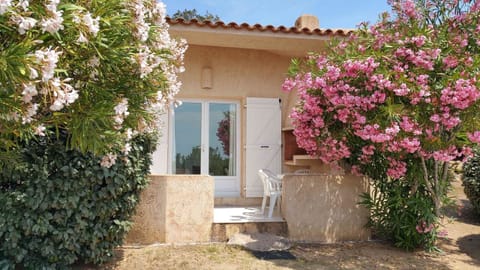 N°4 Terrasse