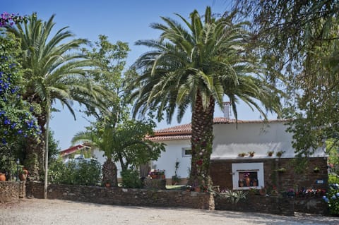 Finca Courtyard with secure parking.