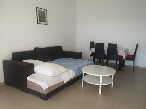 Sofa bed and seating/dining place.