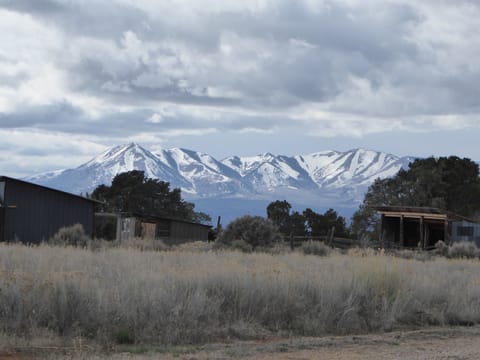 View of Blue Mts looking west from property