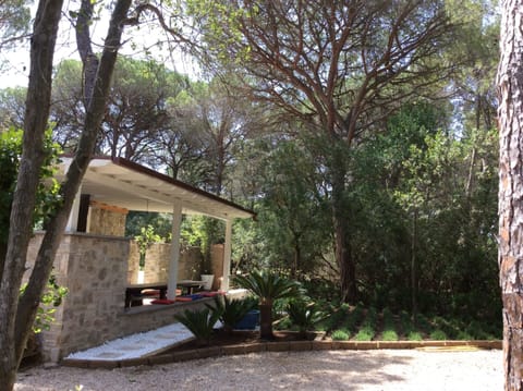 Gardens and outside dining