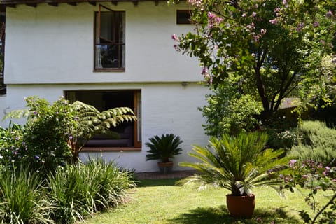 view of the house from the garden - with huge sliding window.