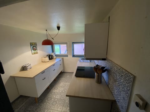 Thatched roof at the edge of the field with a magnificent view House in Ostholstein