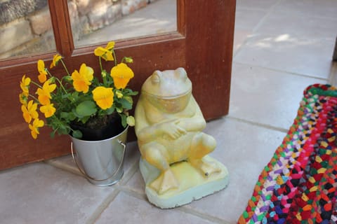 Happy feelings abound at the Nest.