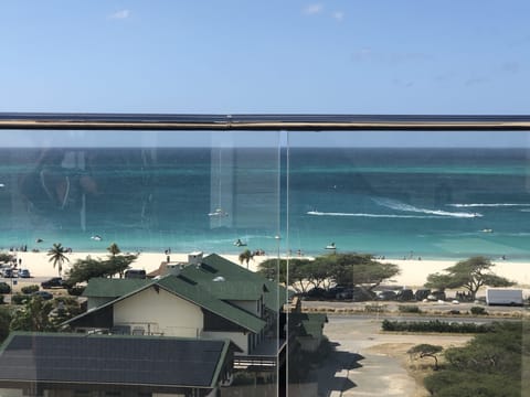 Rooftop view
