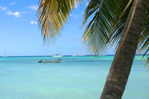 Playa Los Corales is just 300 meters away from the Villa.