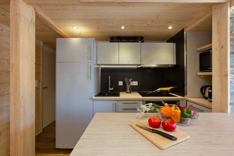 Full sized fridge, oven and dishwasher