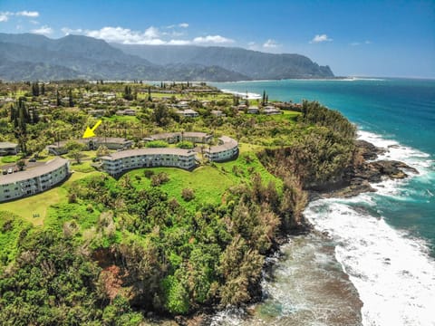 Aerial View towards Hanalei Bay