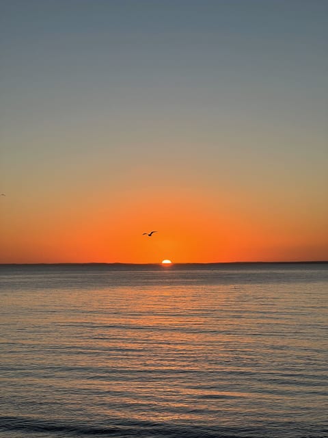 Sunrise

