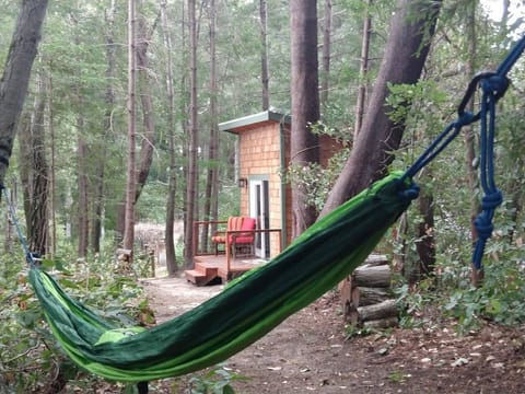 Hammock next to Casita