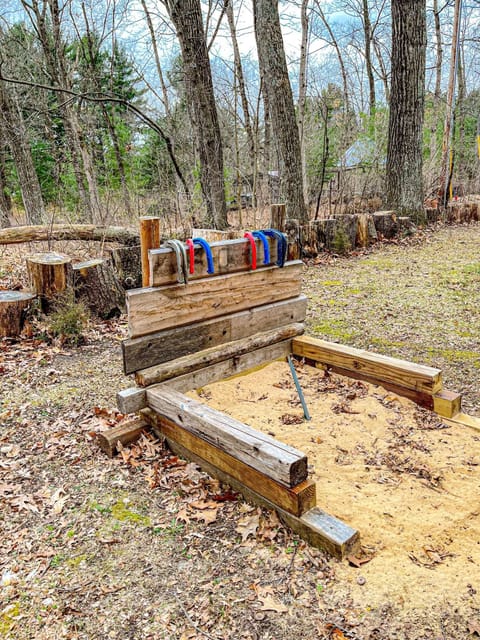 Horseshoe pits in back yard