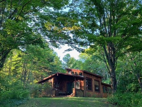 Beautiful cabin nestled in the woods.