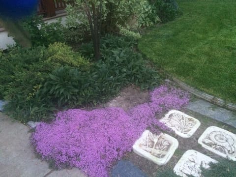 Owners love flowers.