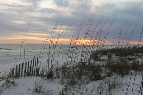 Inlet Beach