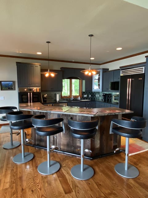 Entertainment Island and Kitchen