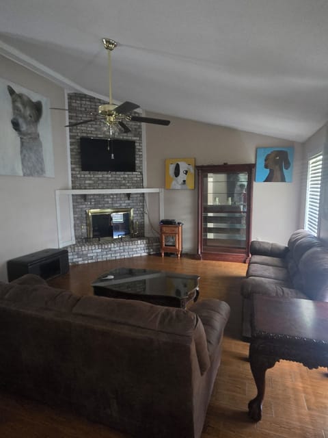 Large two sofa livingroom